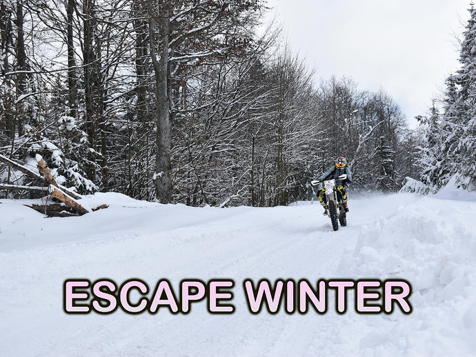 Winter Biking Getaways: Top Routes to Avoid Snow