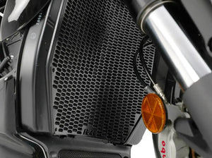 RAD0316 - R&G RACING Ducati Diavel V4 (2023+) Radiator Guard PRO – Accessories in Desmoheart – an Motorcycle Aftermarket Parts & Accessories Online Shop