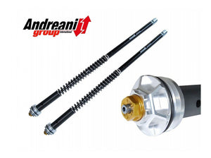 CFD105/A11E - ANDREANI APRILIA RS 660 (2020+) Adjustable Cartridge Kit – Accessories in Desmoheart – an Motorcycle Aftermarket Parts & Accessories Online Shop