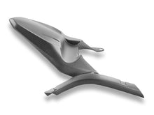 DBK DUCABIKE CRB209 Ducati Monster Matt Carbon Rear Hugger – Accessories in Desmoheart – an Motorcycle Aftermarket Parts & Accessories Online Shop