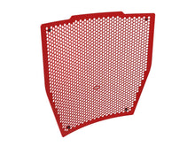 DBK DUCABIKE GR33 Ducati Streetfighter V4 / V4S (20/24) Radiator Guard – Accessories in Desmoheart – an Motorcycle Aftermarket Parts & Accessories Online Shop