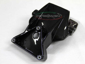 CARBONVANI MV Agusta Brutale (02/09) Carbon License Plate Holder – Accessories in Desmoheart – an Motorcycle Aftermarket Parts & Accessories Online Shop