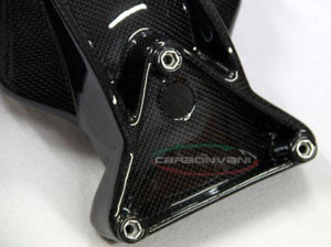 CARBONVANI MV Agusta Brutale (02/09) Carbon License Plate Holder – Accessories in Desmoheart – an Motorcycle Aftermarket Parts & Accessories Online Shop