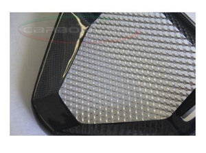 CARBONVANI MV Agusta Brutale (02/09) Carbon Oil Cooler Cover – Accessories in Desmoheart – an Motorcycle Aftermarket Parts & Accessories Online Shop