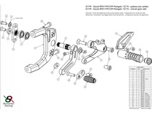 DV2 - BONAMICI RACING Ducati Panigale V2 (2012+) Adjustable Rearset