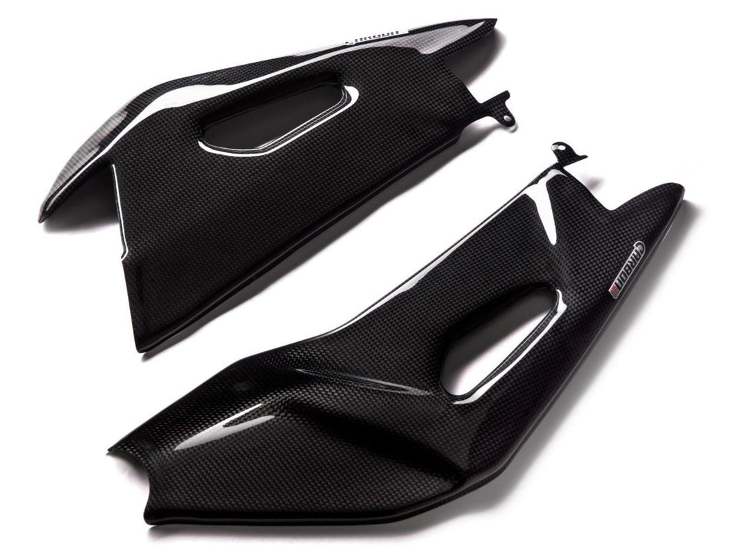 CARBON2RACE Aprilia Tuono V4 (15/20) Carbon Swingarm Covers – Accessories in Desmoheart – an Motorcycle Aftermarket Parts & Accessories Online Shop