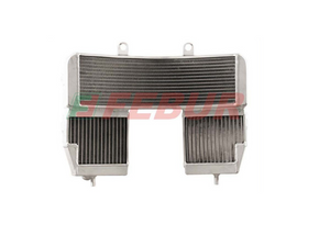 FEBUR Aprilia RSV 1000 (00/03) Complete Street Racing Increased Water Radiator – Accessories in Desmoheart – an Motorcycle Aftermarket Parts & Accessories Online Shop