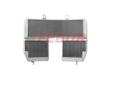 FEBUR Aprilia RSV 1000 (00/03) Complete Racing Water Radiator – Accessories in Desmoheart – an Motorcycle Aftermarket Parts & Accessories Online Shop