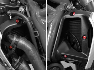 KV325 - CNC RACING Ducati Monster 1200 Radiator Side Panel Screws