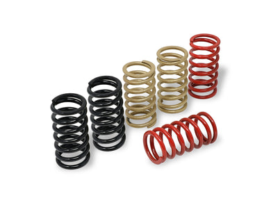 MO245 - CNC RACING MV Agusta Clutch Springs (Ø 40.5) – Accessories in Desmoheart – an Motorcycle Aftermarket Parts & Accessories Online Shop