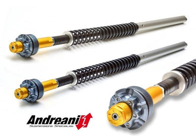 CFD105/D03 - ANDREANI Ducati Monster 696 Adjustable Cartridge kit (Showa)