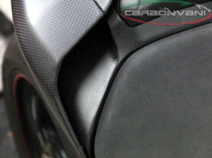 CARBONVANI Ducati Panigale 959 / 1299 Carbon Tail Bottom (under seat tray)