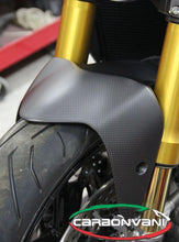 CARBONVANI Ducati Monster 1200/821 (14/17) Carbon Front Fender