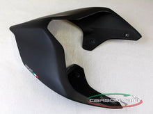 CARBONVANI Ducati Panigale V4 (2018+) Carbon Tail (street version; black)