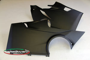 CARBONVANI Ducati Panigale V4 / V4R (18/21) Carbon Belly Pan (for OEM exhaust) – Accessories in Desmoheart – an Motorcycle Aftermarket Parts & Accessories Online Shop