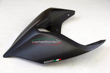 CARBONVANI Ducati Panigale V2 (2020+) Carbon Tail (street version)