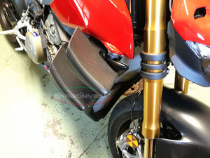 CARBONVANI Ducati Streetfighter V4 (2020+) Carbon Winglets Kit
