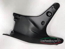 CARBONVANI Ducati Streetfighter V4 (2020+) Carbon Fuel Tank Side Frame Covers – Accessories in Desmoheart – an Motorcycle Aftermarket Parts & Accessories Online Shop