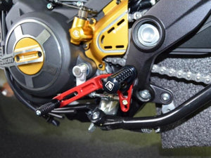 PPSCRA02 - DUCABIKE Ducati Scrambler / Monster 797 Adjustable Footpegs (pilot)