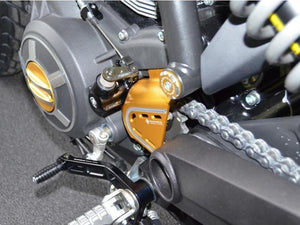 RPLC12 - DUCABIKE Ducati Scrambler / Monster 797 Shift Lever